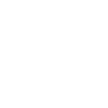 TikTok icon